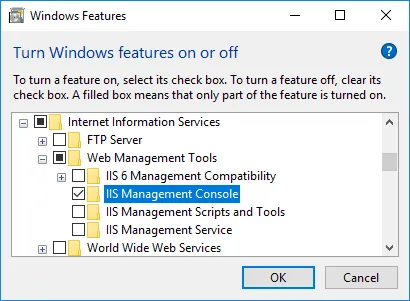 IIS Manager Installation